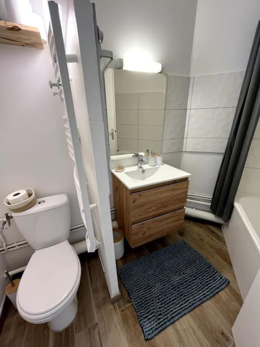The Jungle Studio, Loggia & Parking Dans Residence Romans-sur-Isère Esterno foto