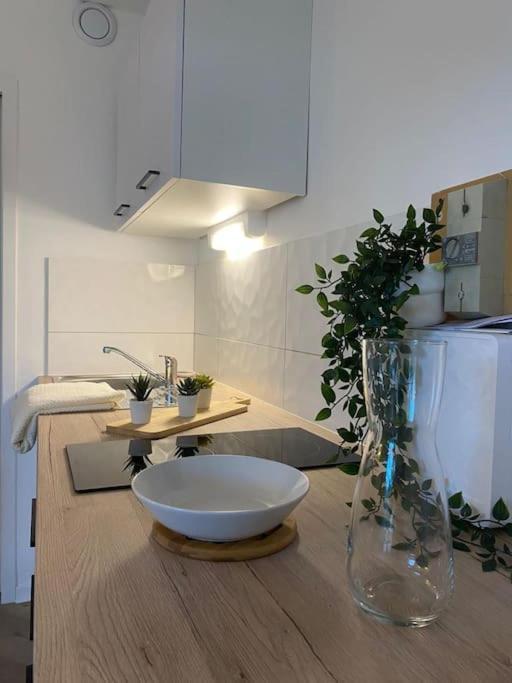 The Jungle Studio, Loggia & Parking Dans Residence Romans-sur-Isère Esterno foto